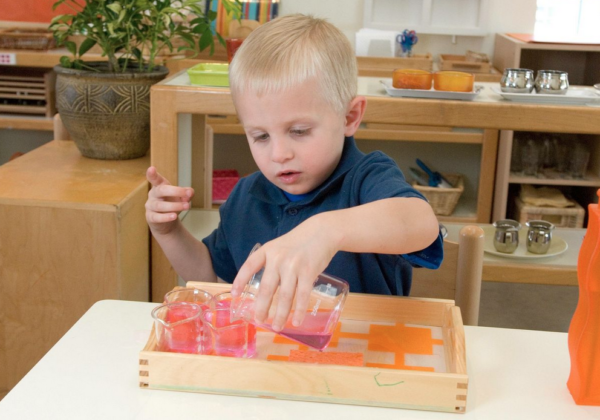 Purpose Of Practical Life In Montessori