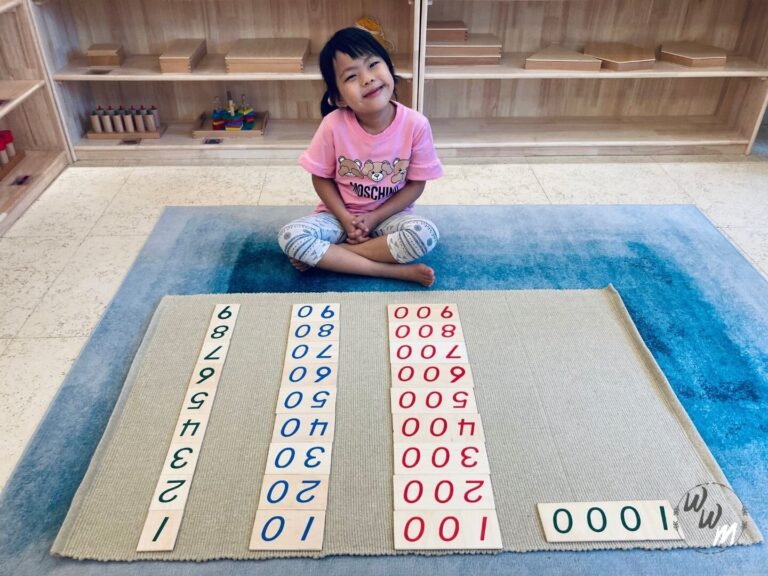 In a Montessori setting, the introduction of Numeration of the Decimal System in Montessori, particularly through the use of large number