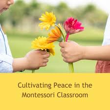 What is Peace Flower in Montessori?