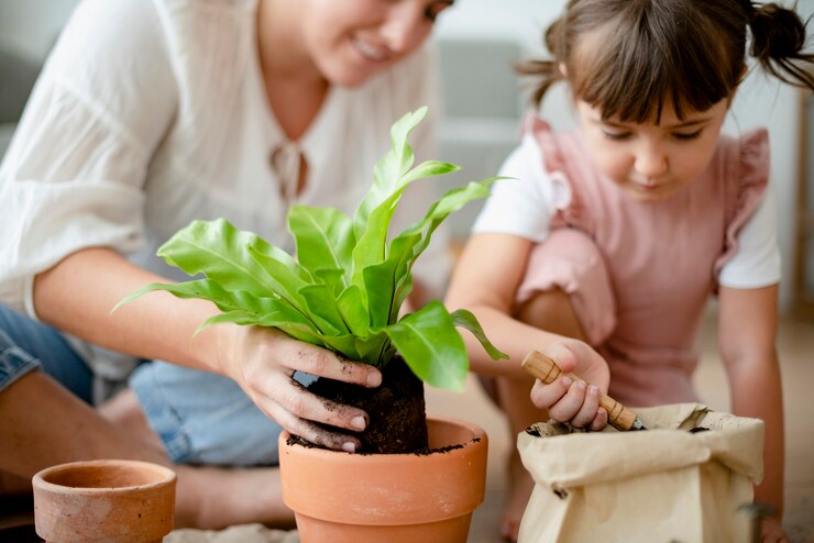 The Montessori care of environment